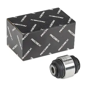 RIDEX 251T0172