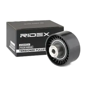 313D0100 RIDEX