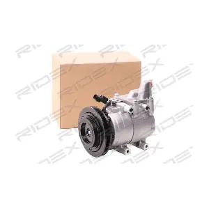 RIDEX 447K0332
