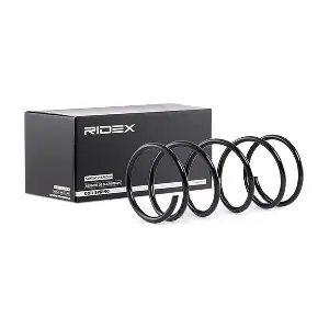 188C0546 RIDEX