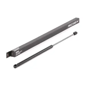 RIDEX 514G0041