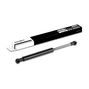 219G0163 RIDEX