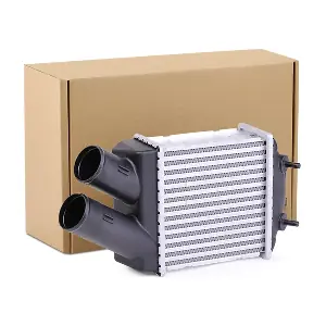 468I0061 RIDEX