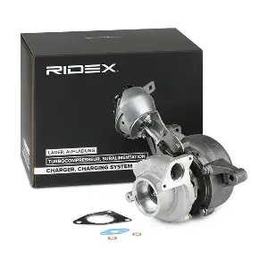 2234C10179 RIDEX