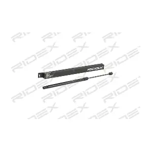 RIDEX 219G0844