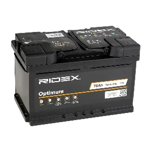 RIDEX 1S0039