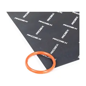 42G0071 RIDEX
