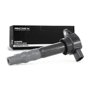 689C0226 RIDEX