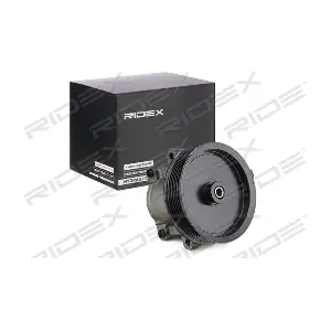 12H0196 RIDEX