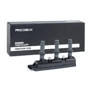 689C0304 RIDEX