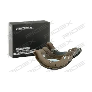 RIDEX 70B0210