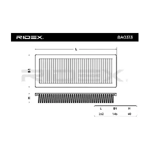 RIDEX 8A0313