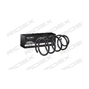 188C0175 RIDEX
