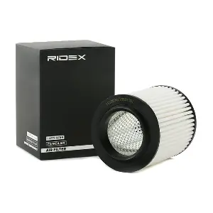 8A0607 RIDEX
