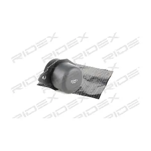 RIDEX 247E0013