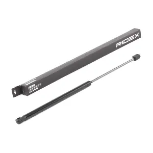 219G0710 RIDEX