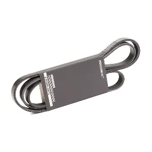RIDEX 305P0315