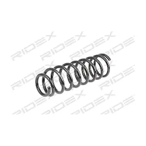 RIDEX 188C0134
