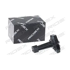 1289S0008 RIDEX