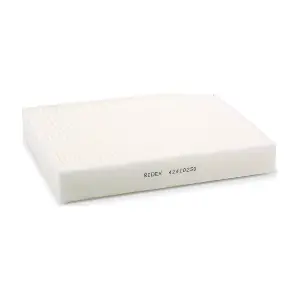 RIDEX 424I0250