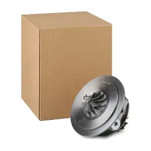 4973C0098 RIDEX
