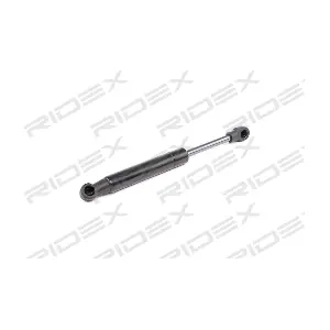 219G0636 RIDEX