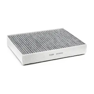 RIDEX 424I0244