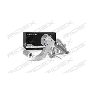 RIDEX 541V0038