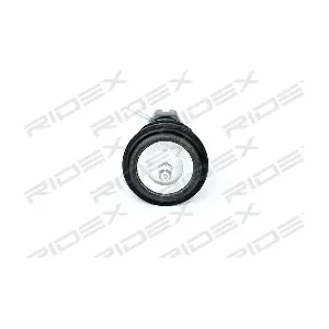 RIDEX 2462S0062