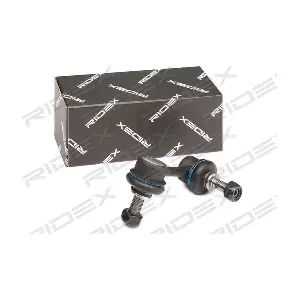 3229S0646 RIDEX