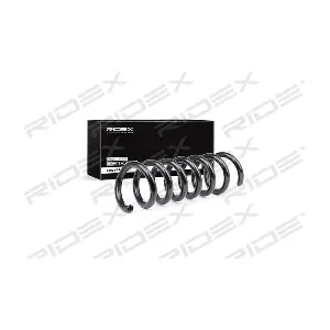 188C0261 RIDEX