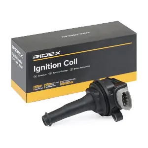 689C0089 RIDEX
