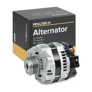 4G0123 RIDEX