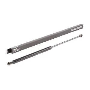 RIDEX 219G0548