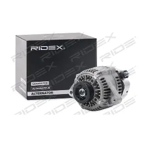 4G1003 RIDEX