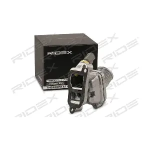 316T0229 RIDEX