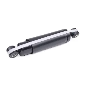 RIDEX 854S2195
