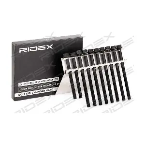 1217B0121 RIDEX