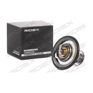 RIDEX 316T0149