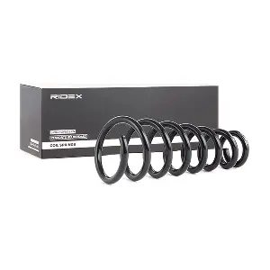 188C0282 RIDEX