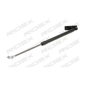 219G0585 RIDEX