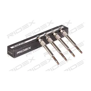 243G0196 RIDEX