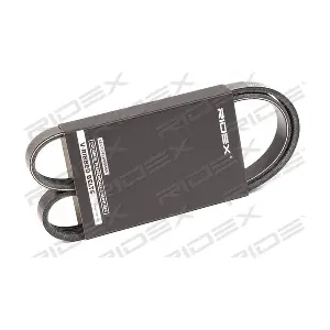 305P0425 RIDEX