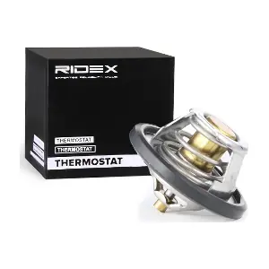 RIDEX 316T0026