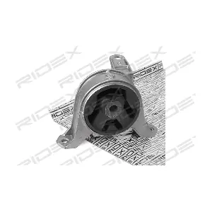 247E0174 RIDEX