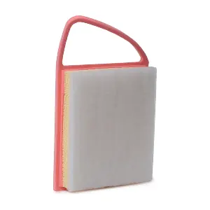 RIDEX 8A0172
