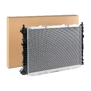 RIDEX 470R0161
