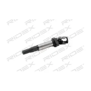 RIDEX 689C0343