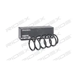 RIDEX 188C0485