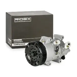 RIDEX 447K0019